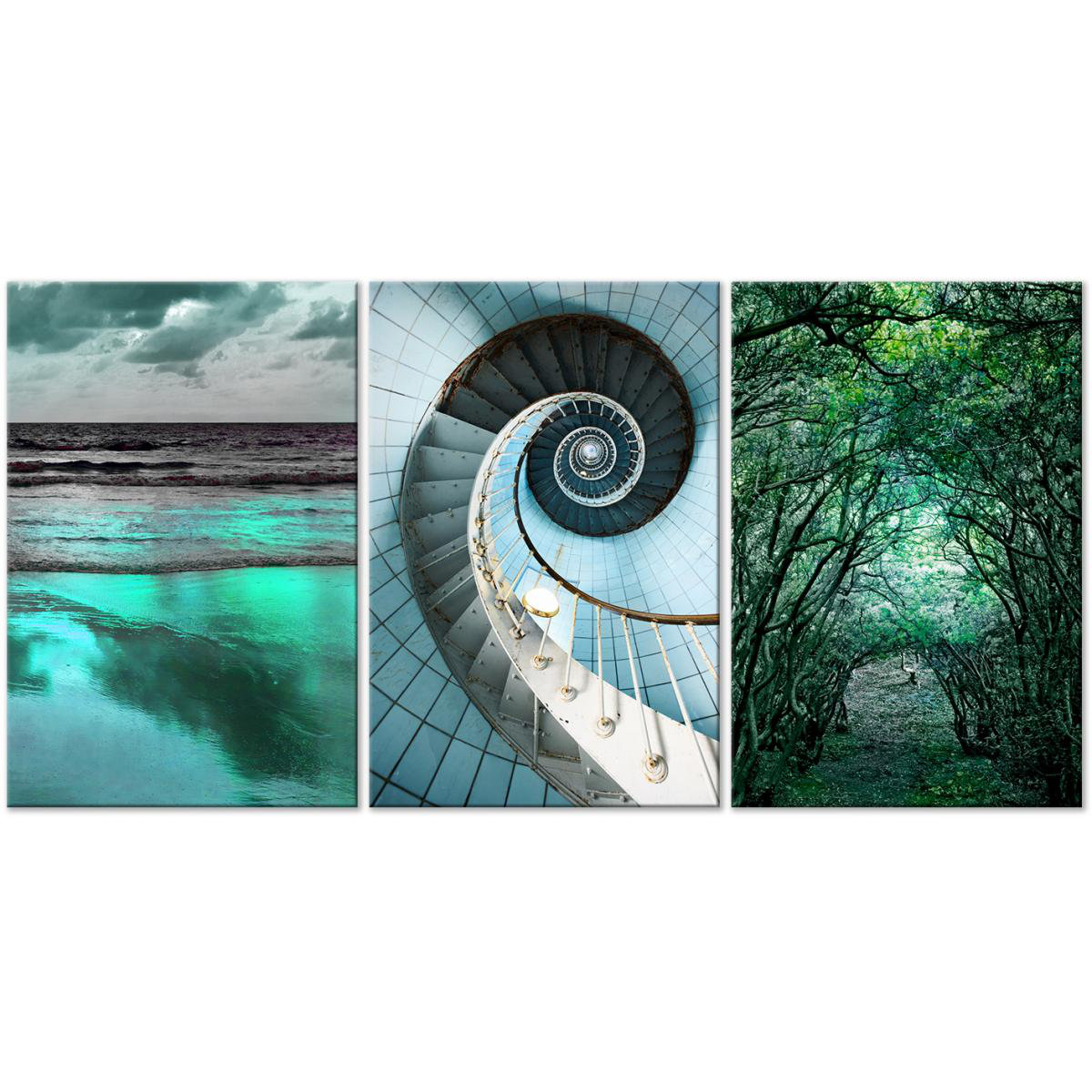 Ebern Designs 'Faces of Nature' - 3 Piece Wrapped Canvas Graphic Art ...