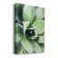 Green Tropical Succulent VI - Photographie sur toile tendue-1436260084