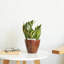 Ensemble de 2 pots à fleurs-1633799734
