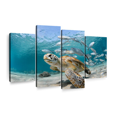 «Curacao Fish and Turtle», reproduction d'art sur toile