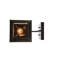 Rustic Lodge 1 - Light Armed Sconce