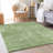 Premium Machine Washable Prisco Green Rug-1508949019