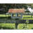 Bird in Hand Series 13" x 20" x 10" Columbia Covered Bridge Feeder