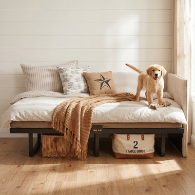 Abdiqani Twin Corduroy Upholstered Daybed