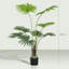 Faux Palm Tree in Pot-541601573
