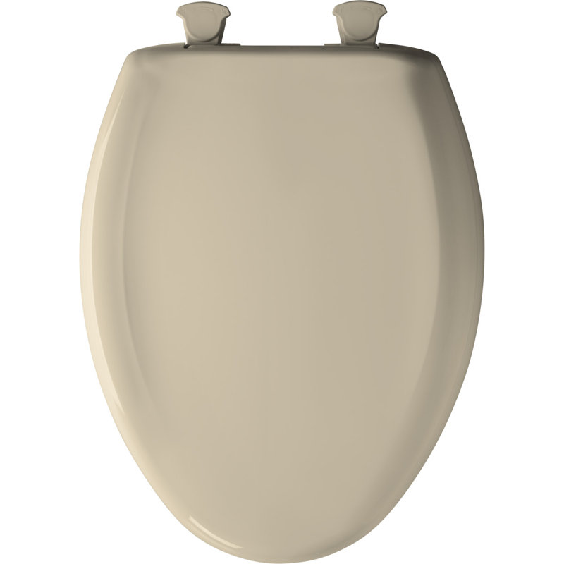 Elongated Toilet Seat and Lid, Desert Bloom