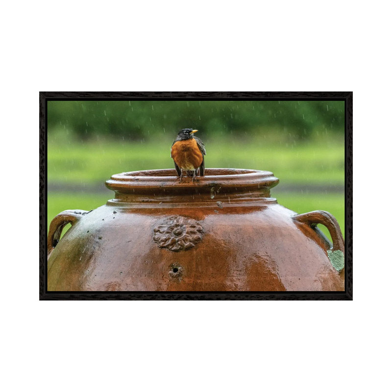 Robin on a Pot 1 Piece Wall Art on Canvas, 66.04 cm H x 45.72 cm W, Black Framed