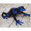 Figurine d'art sculpture en bronze bleue et noire