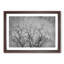 Bird In A Winter Tree Painting - Single Picture Frame Print on MDF-56633816-56633822