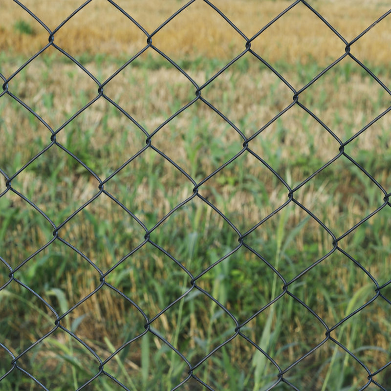 Black PVC Coated Galvanized Steel Chain Link Fence Kit 4x50 ft