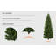 Arbre de Noël vert pin cachemire-63881192