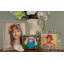 Roxy Picture Frame-49672904