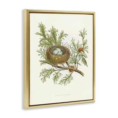  «Forest Bird Nest» sur toile par Tina Higgins Designs, Inc.