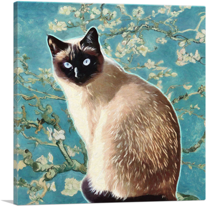 Reproduction d'art graphique sur toile Siamese Cat Breed - bleu sarcelle, H 18 po x l 18 po x P 0,75 po