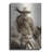 " Cowgirl " by Lisa Dearing-169844714