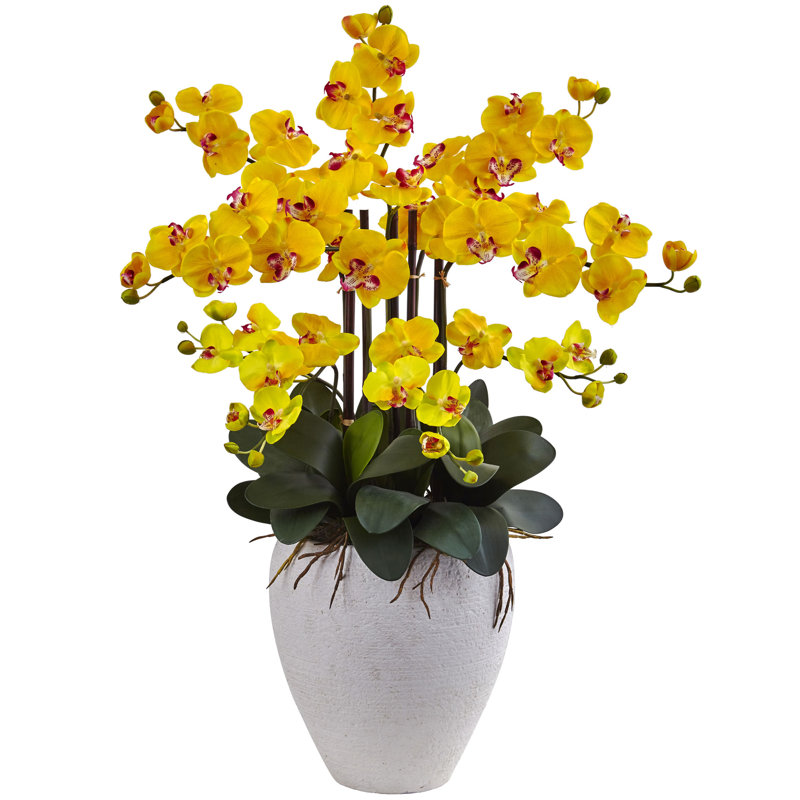 Arrangements floraux Candice Orchids en pot, Jaune