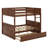 Bunk Bed With Trundle-1960121392
