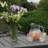 Arbnora Rectangular Outdoor Coffee Table , 48'' in. W 24'' in. D-549926924