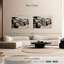 Voitures monochromes Mehar-107844019