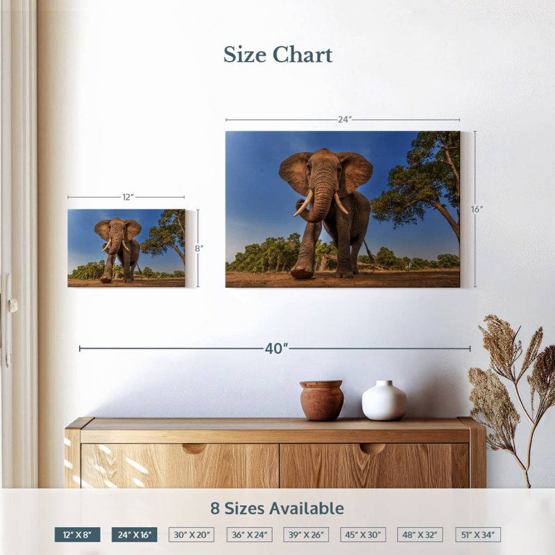 Brampt Playful African Elephant, 16" H x 24" W
