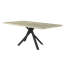 Jacobus Metal Base Dining Table