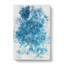 Many Dolphin - Wrapped Canvas-56642979