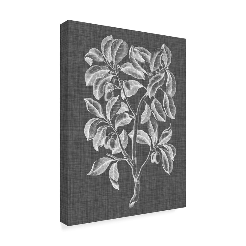 «Graphic Foliage I» par Vision Studio - Reproduction d'art graphique sur toile, H 19 po x l 14 po x P 2 po