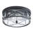 2-Lamp Circular Clear Glass Adjustable Iron Ceiling Light