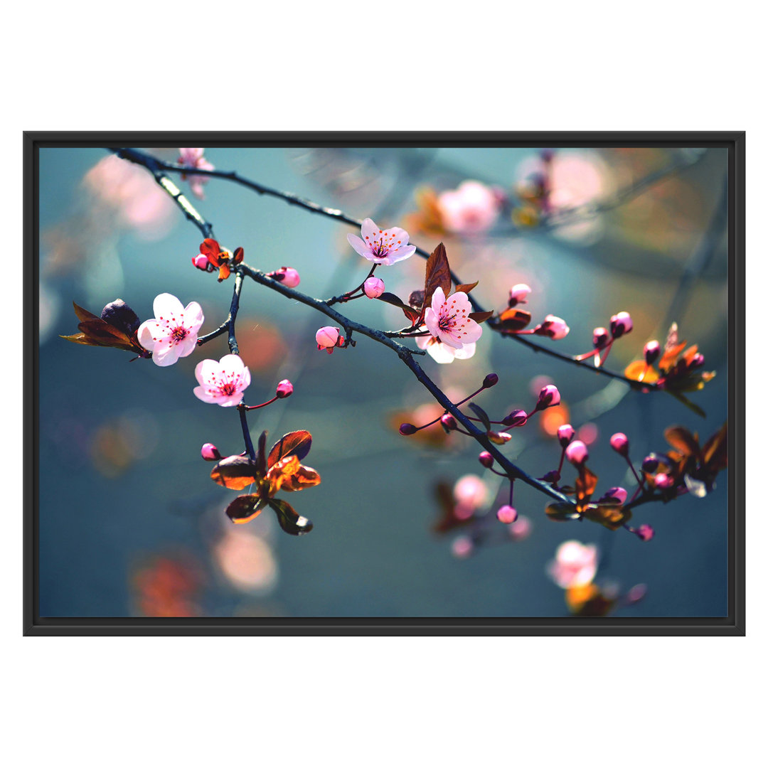 Gerahmtes Wandbild Exotische Sakura Blüten