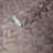 Stetsonville Non-Pasted Vinyl Abstract