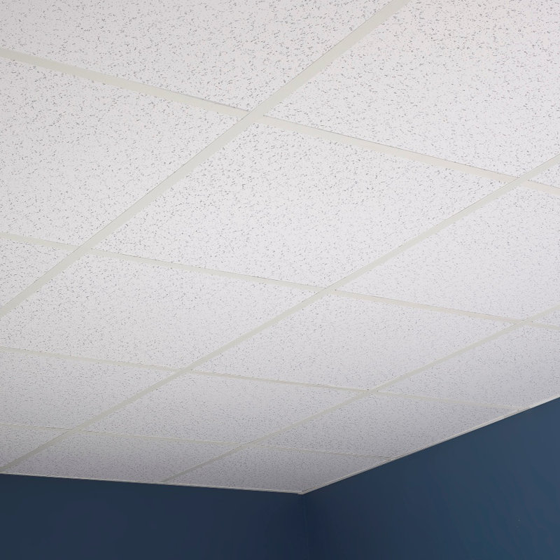 Carreaux de plafond Pro 2 pi x 2 pi Genesis - Installation facile à poser - Imperméable, lavable et ignifuge - PVC de haute qualité pour prévenir les bris - Paquet de 12 carreaux