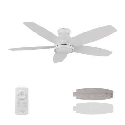 52'' Ceiling Fan with LED Lights