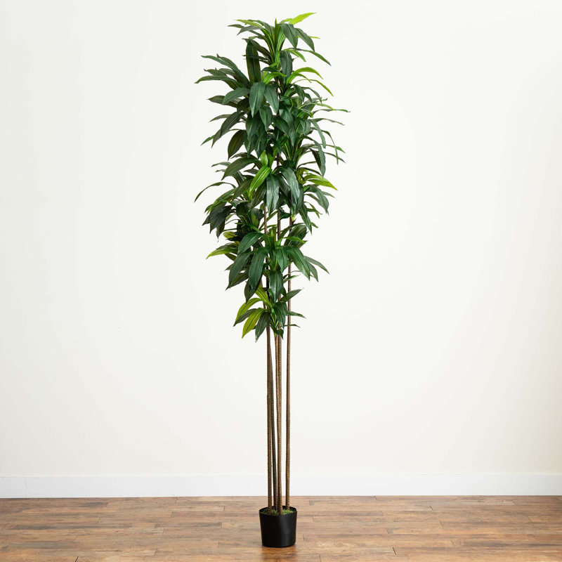 120 " H Faux Dracaena Tree in Plastic Pot Liner