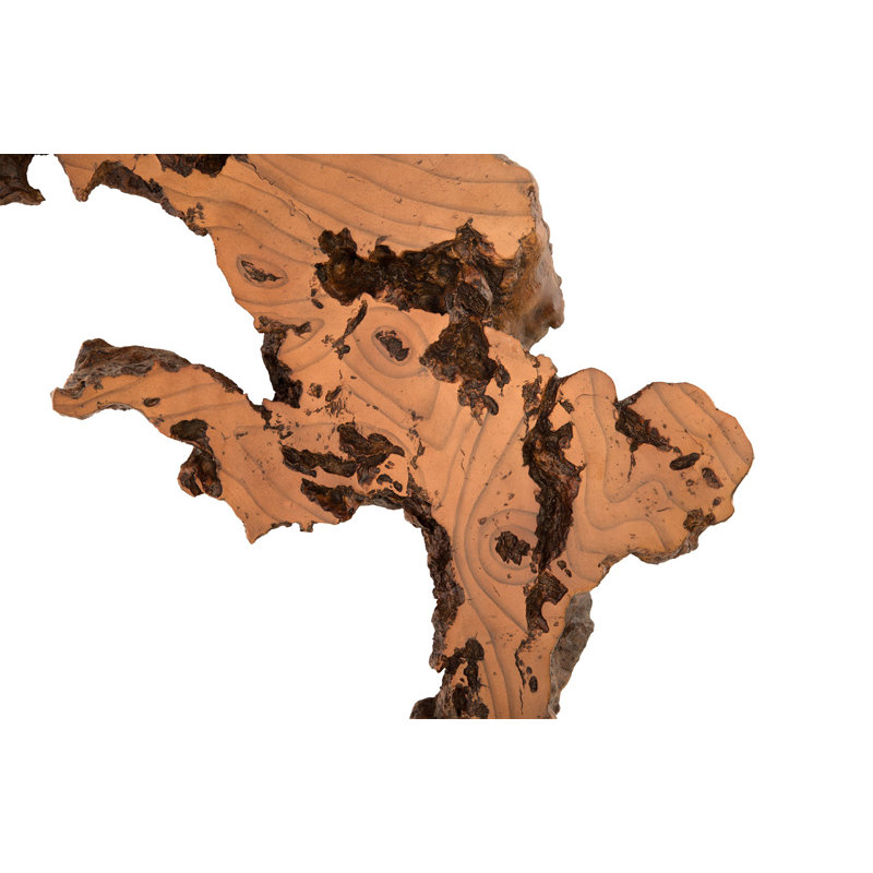 Cast Naturals Burled Root Wall Décor