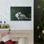 Wall Art on Canvas-222838673