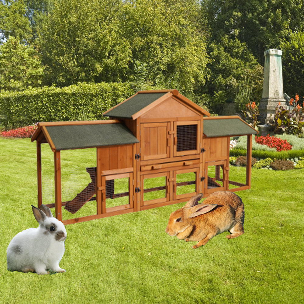 Tucker Murphy Pet™ Wooden Bunny Rabbit Hutch Large Bunny Cage With 2 ...