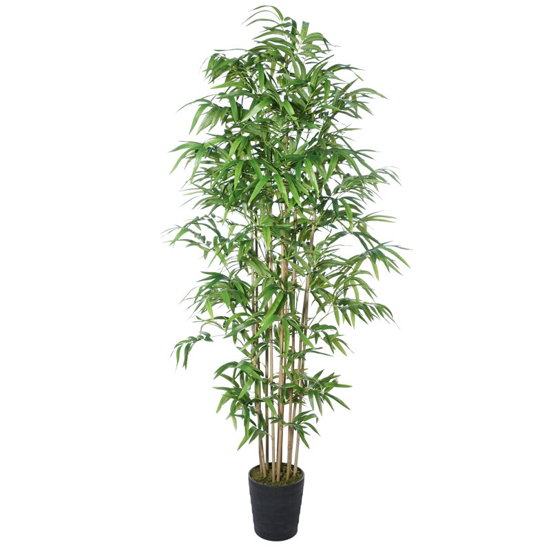 Bambou artificiel en pot, H 72 po x l 36 po x P 36 po