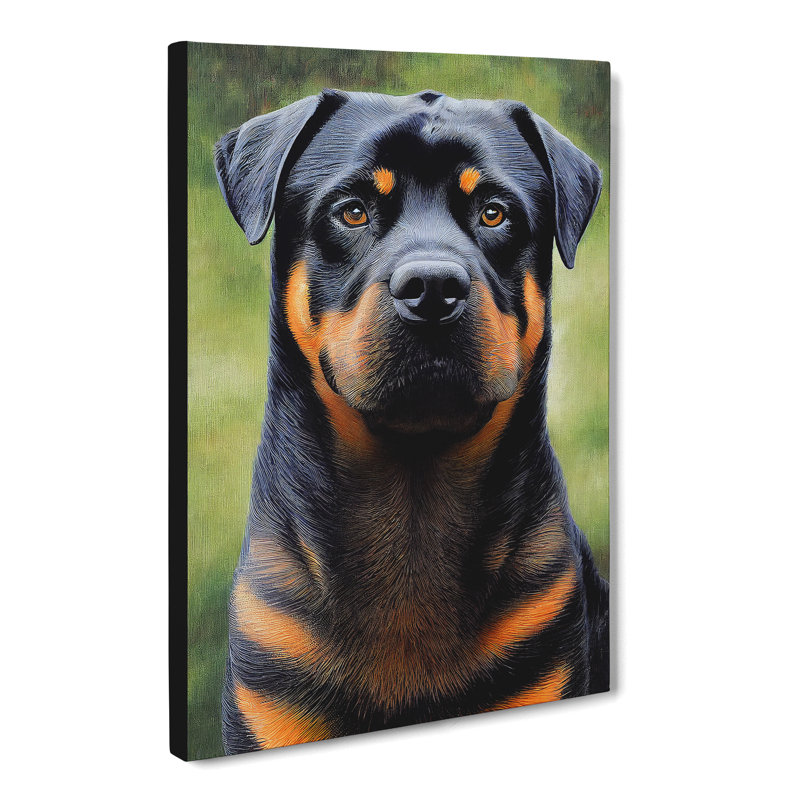 Rottweiler Vol.1 - Wrapped Canvas, 60cm H x 40cm W x 3cm D