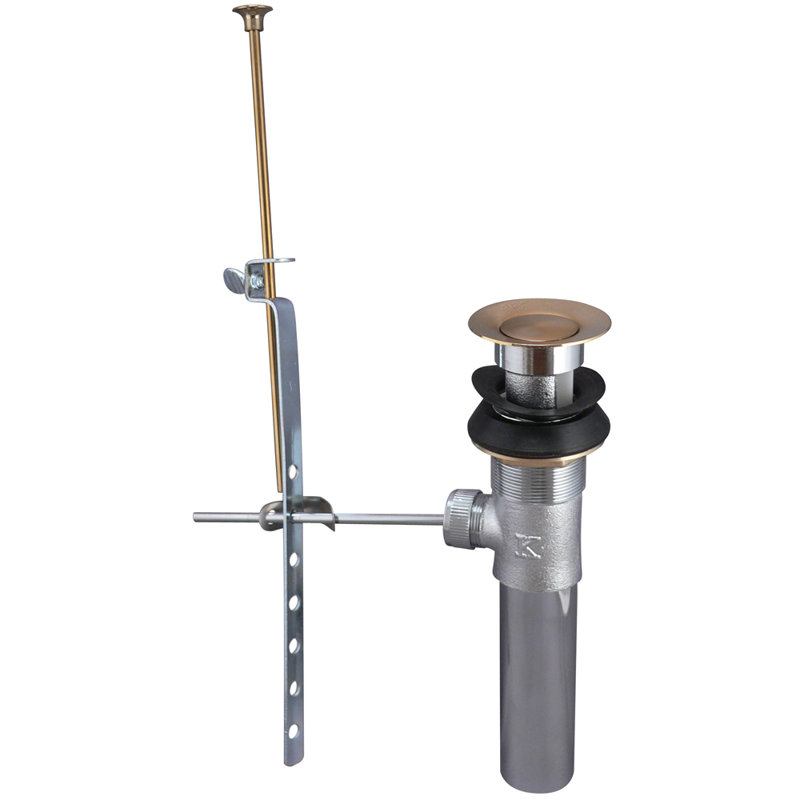 5.00'' W Pop-Up Yes, Polished Brass