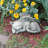 Cat Pet Memorials Angel Statue