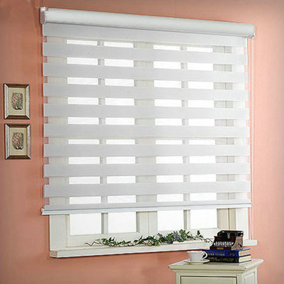Semi Sheer Pleated Shade