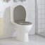 Siège de toilette à fermeture rapide vidaXL gris ovale à fermeture rapide-79063363