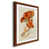 Érable