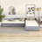 Twin Size Daybed With Trundle And Drawer, Gray - Upholstered Softness, Plywood For Relaxing Moments & Drawer Stability, Enhances Home Ambiance-1707561577