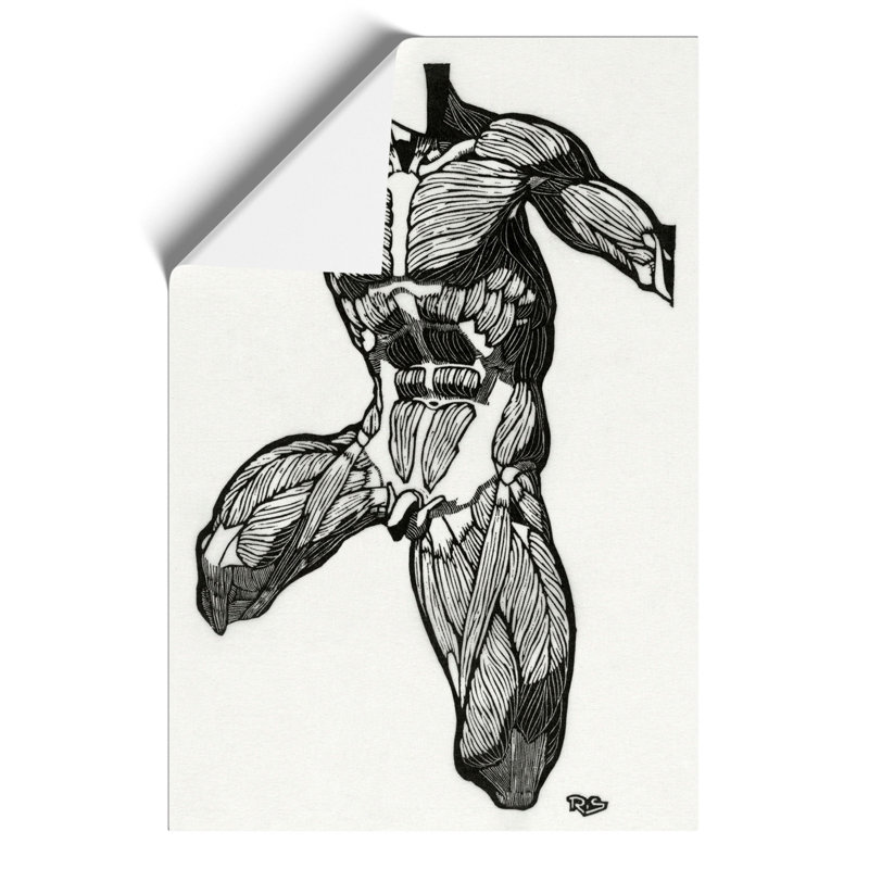 Anatomical Study of a Man by Reijer Stolk - Frameless Print, 42cm H x 30cm W x 0.1cm D