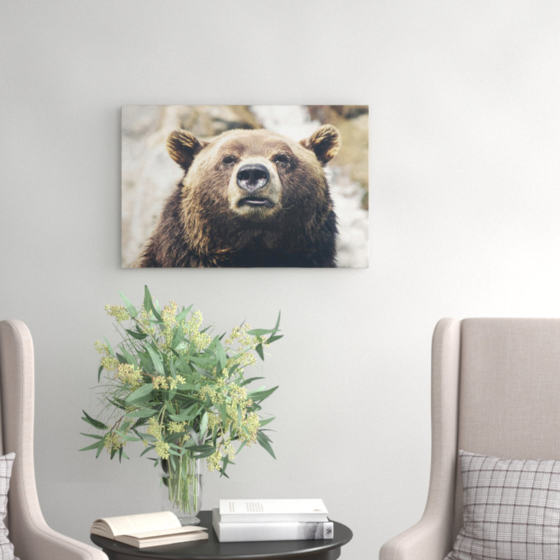 Brown Grizzly Bear Photographic - Wrapped Canvas, 50cm H x 76cm W