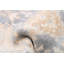 Tapis gris foncé Royal Oushak 2 po 7 po x 19 po 9 po