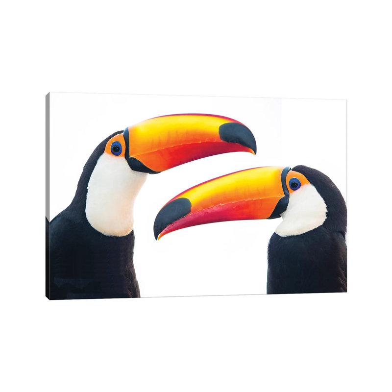 Portrait of Toco Toucan, Mato Grosso, Brazil 1 Piece Wrapped Canvas Wall Art, 20.32 cm H x 30.48 cm W
