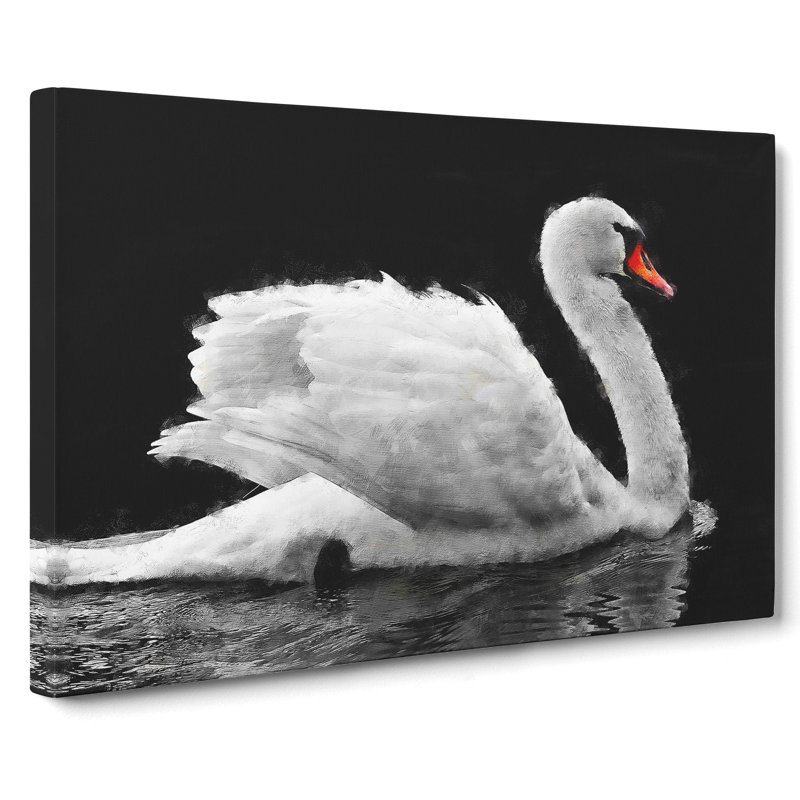 White Swan Swimming - Wrapped Canvas Print, 50cm H x 76cm W x 3cm D