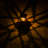 Black Solar Powered Integrated LED Pathway Light Pack